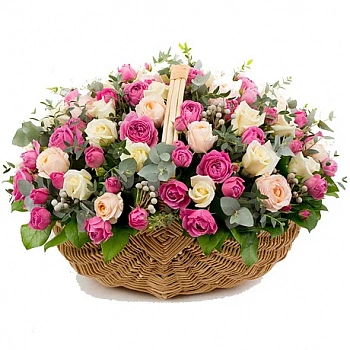 Утренняя свежесть 