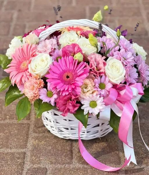 Сон принцессы