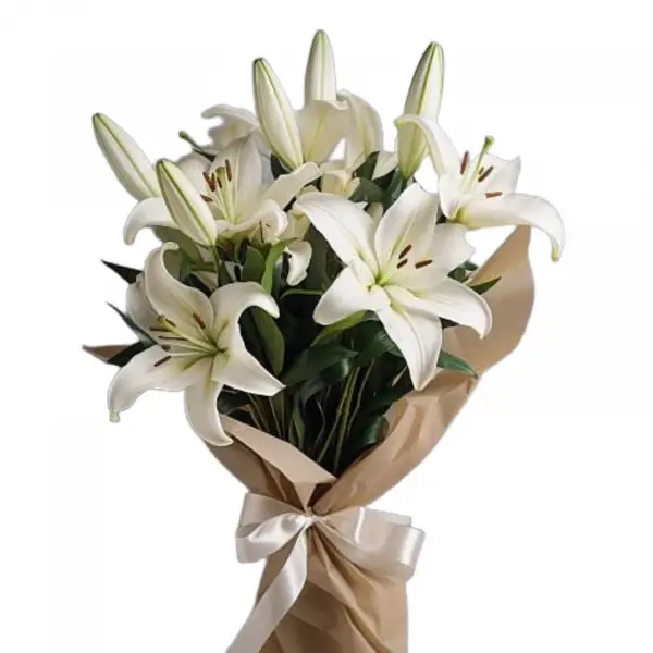 Лили Сюрприз