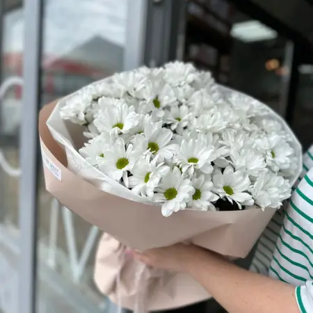 Ромашковый презент